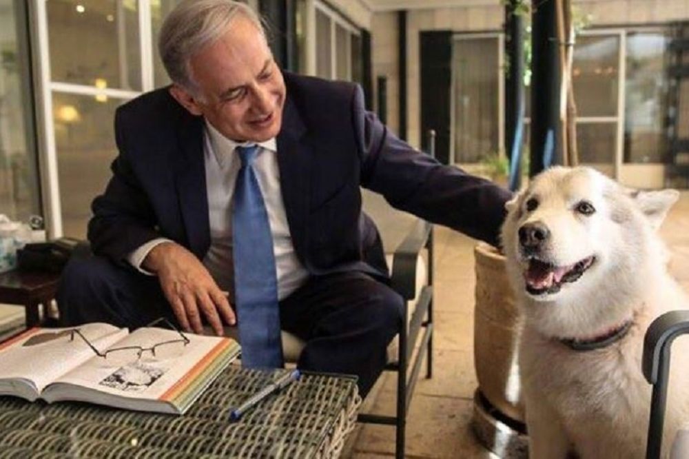 Izujedao poslanicu i ministarkinog muža! Kakvog to psa ima izraelski premijer?! (FOTO)