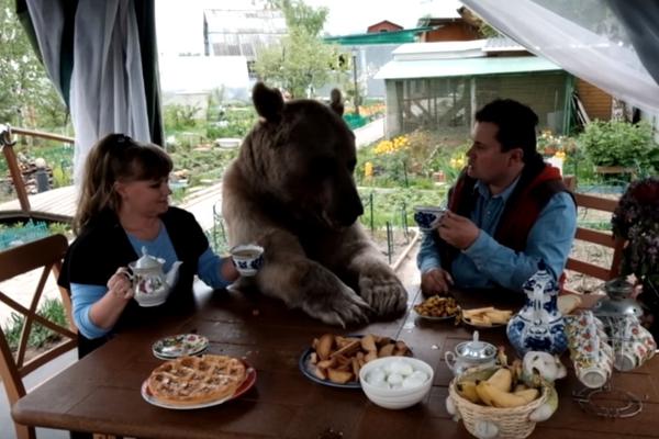 Ruski par živi sa 150 kg teškim medvedom: Maze se, gledaju tv, jedu zajedno (FOTO) (VIDEO)