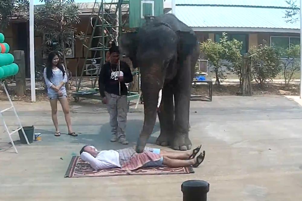 Da li biste pristali da vas izmasira slon? (VIDEO)