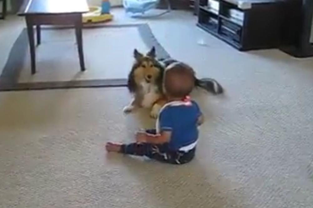 Niko joj nije verovao šta pas radi sa njenom bebom. Uzela je kameru i snimila ovo! (VIDEO)