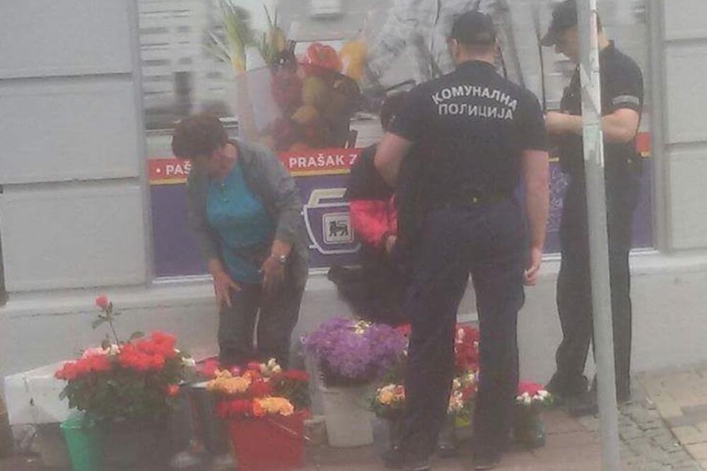 Komunalne sisice 3: Glavonje ne smeju da pipnu, a kažnjavaju baku koja prodaje cveće! (FOTO)