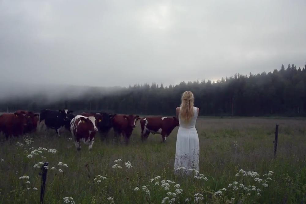 Gospodarica krava: Zov ove Šveđanke je nešto što nas vraća u drevna vremena (VIDEO)