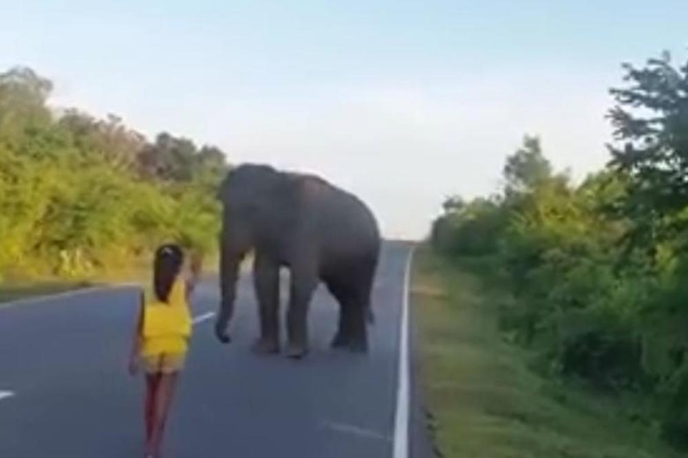 Devojčica je stala ispred slona: Ono što je uradila ostaviće vas bez teksta (VIDEO)