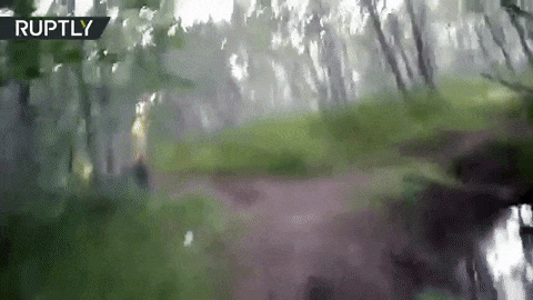 Ludi Rus juri medvede kroz šumu: Ovo je najbizarniji snimak koji ćete videti danas!