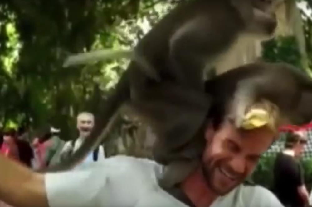 Majmun do'vatio majmunicu na glavi ovog momka, a onda je počeo šou-program! (VIDEO)