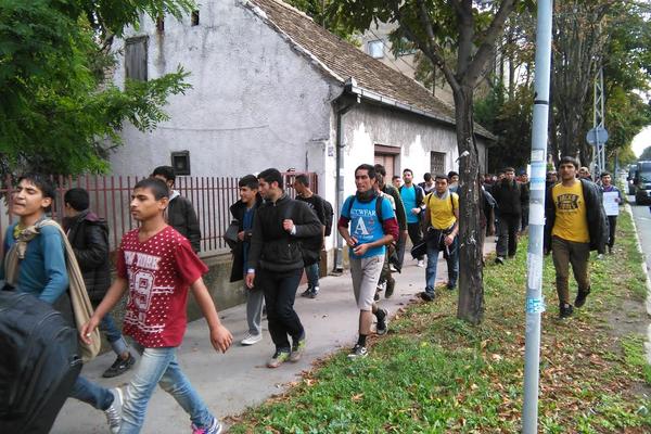 Migranti stigli do Pazove, umorili se, pa se vraćaju za BG