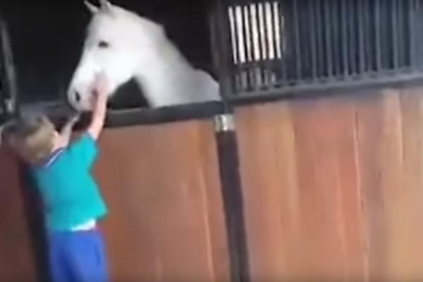MALIŠAN ZA PRIMER: Dečak dve godine radio da bi kupio ponija! (VIDEO)