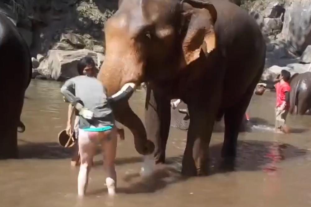 Mazila slona po nezgodnom mestu, sledećeg trena LETELA JE I U VIS I U DALJ! (VIDEO)