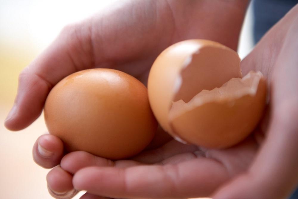 Da li biste jeli ljuske od jaja? Neki ljudi uživaju u njima! (FOTO) (GIF) (VIDEO)