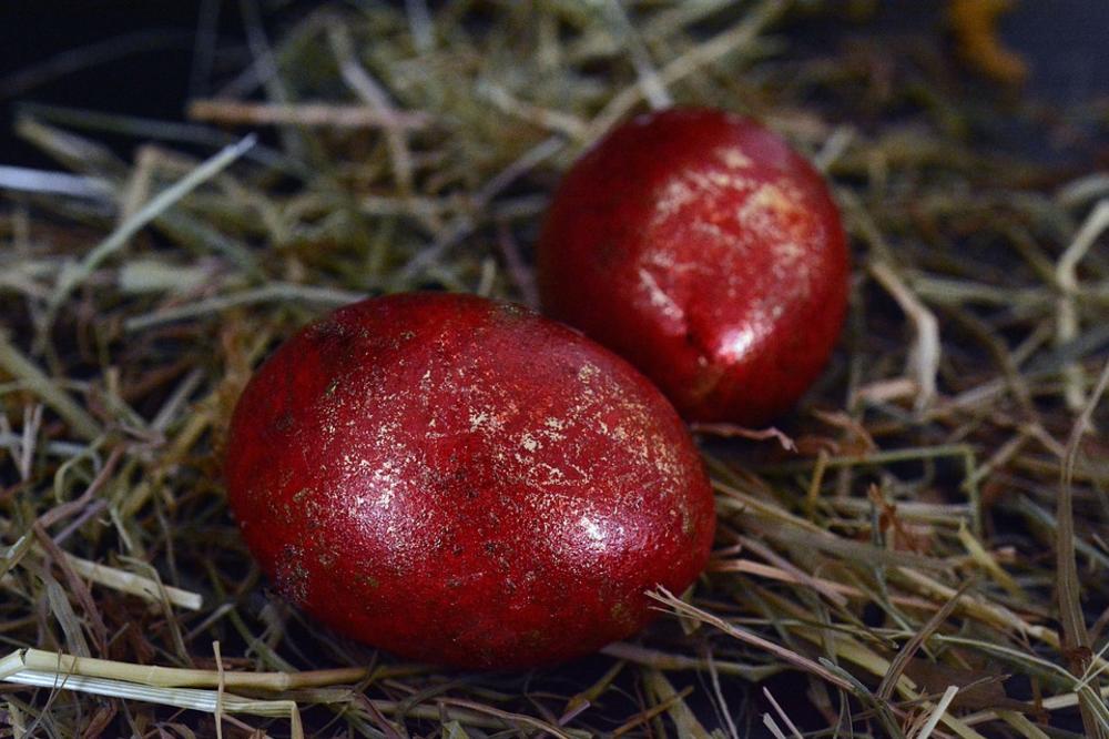 Da li ste znali: Zašto jaje čuvarkuća treba da bude baš crveno? (FOTO) (GIF)