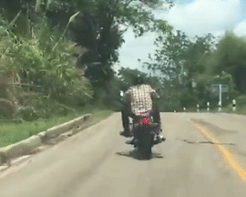 PAZI, ZMIJA! Motociklista jedva izbegao ujed gmizavca! (VIDEO)