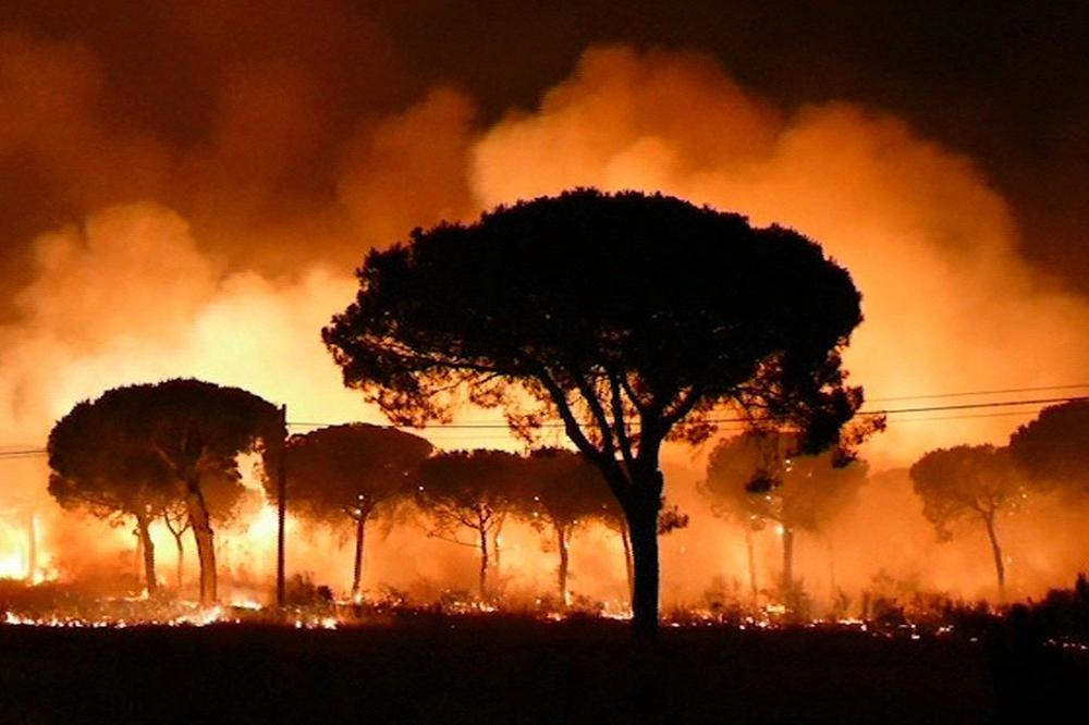 VATRA GUTA SVE: Evakuisano 1.800 ljudi, 550 vatrogasaca gasi požar u Španiji! (FOTO) (VIDEO)