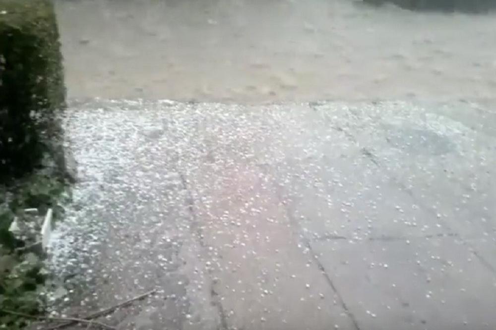 USRED LETA GRTALICE! Fotka iz Istre pokazala koji je tamo zaista haos! (FOTO) (VIDEO)