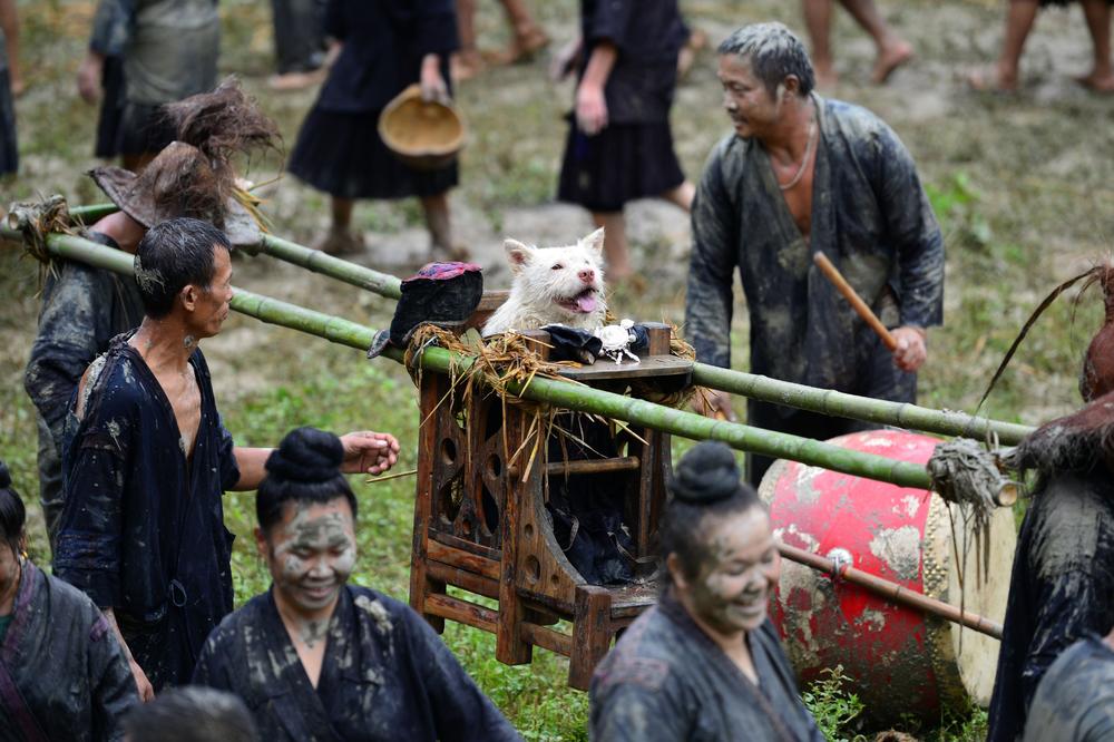 DUGA TRADICIJA: U Kini održan festival koji slavi psa kao božanstvo! (FOTO)