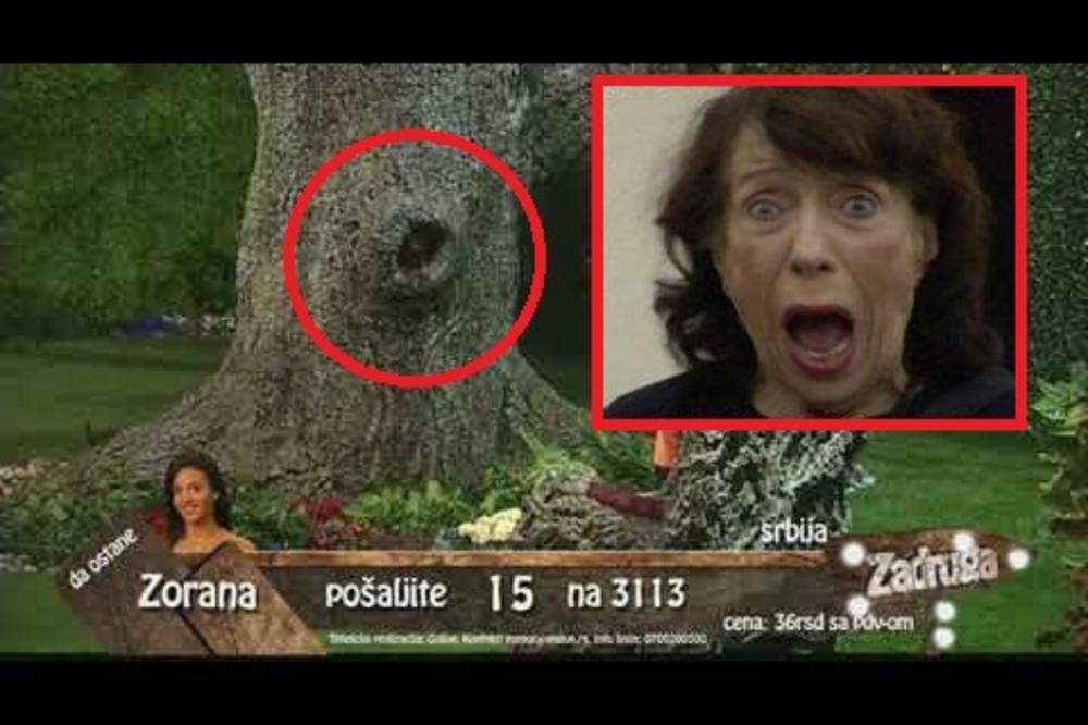 ŠOKIRAĆETE VAS SAZNANJE: Ona je otkrila KO je Drvo mudrosti u Zadruzi - SVI ga znaju! (VIDEO)