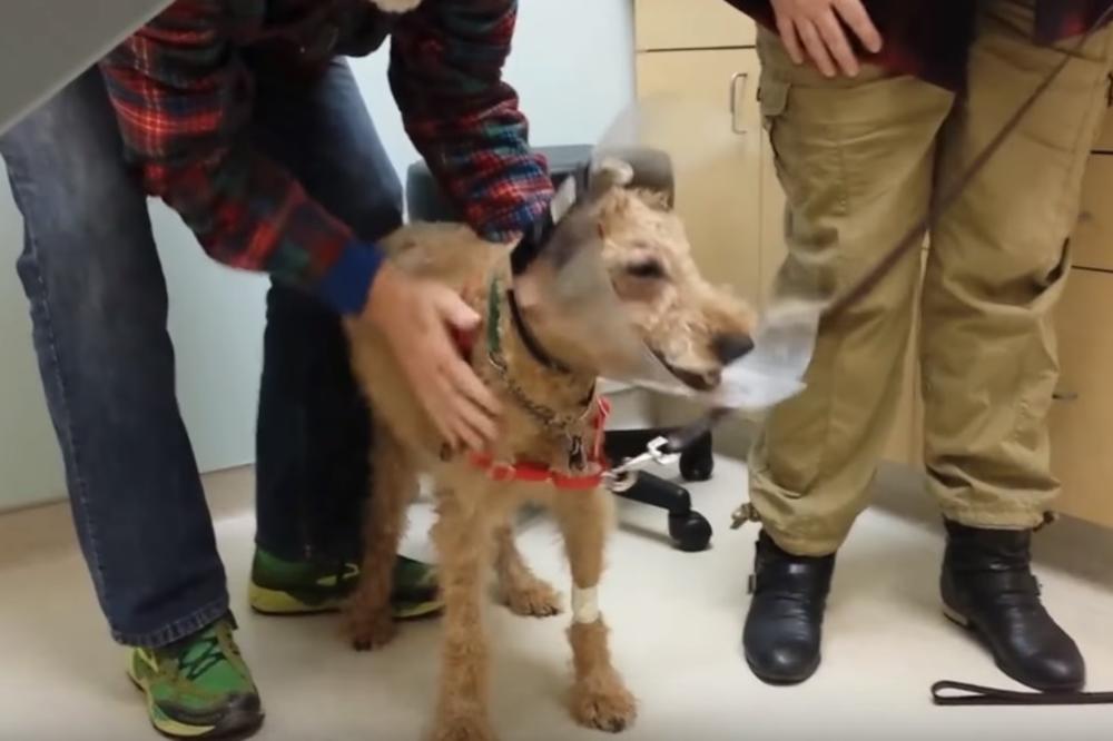 RASTOPIĆE VAM SE SRCA OD SREĆE: Godinama je bio slep, ali je posle operacije progledao, njegova reakcija je neprocenjiva! (VIDEO)