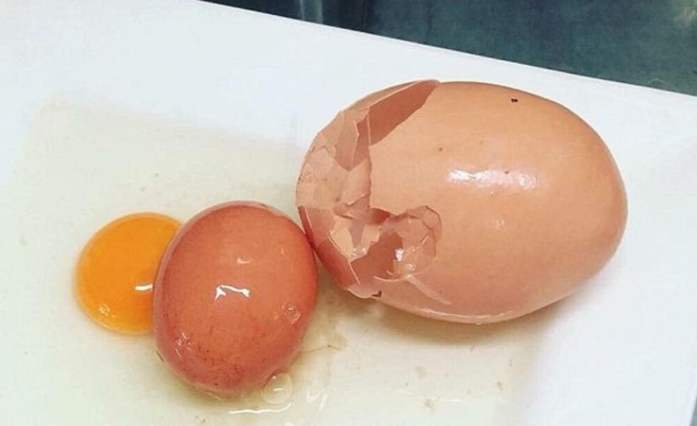 Jaje unutar jajeta 