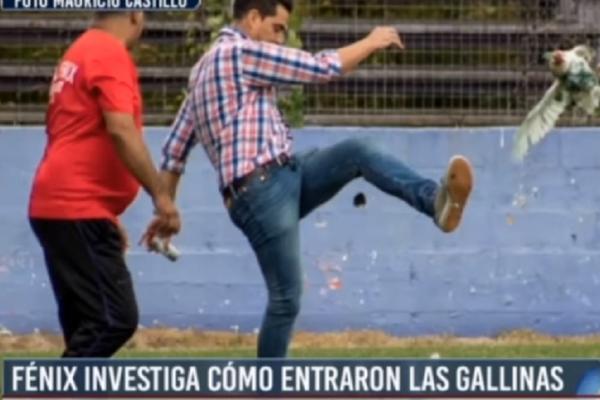 LUDAK! Direktor urugvajskog fudbalskog kluba šutnuo kokošku i zaradio suspenziju! (VIDEO)