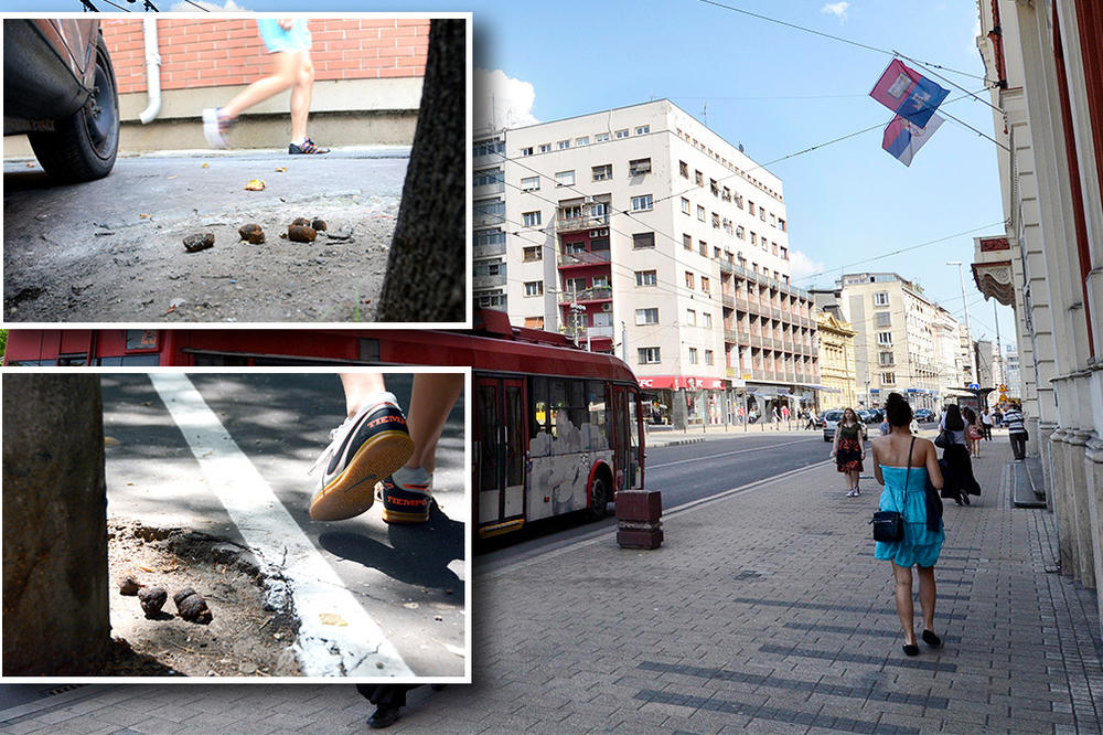 Prošetali smo strogim centrom Beograda, a ODVRATNE NAGAZNE MINE su nas čekale na svakom koraku! (FOTO)