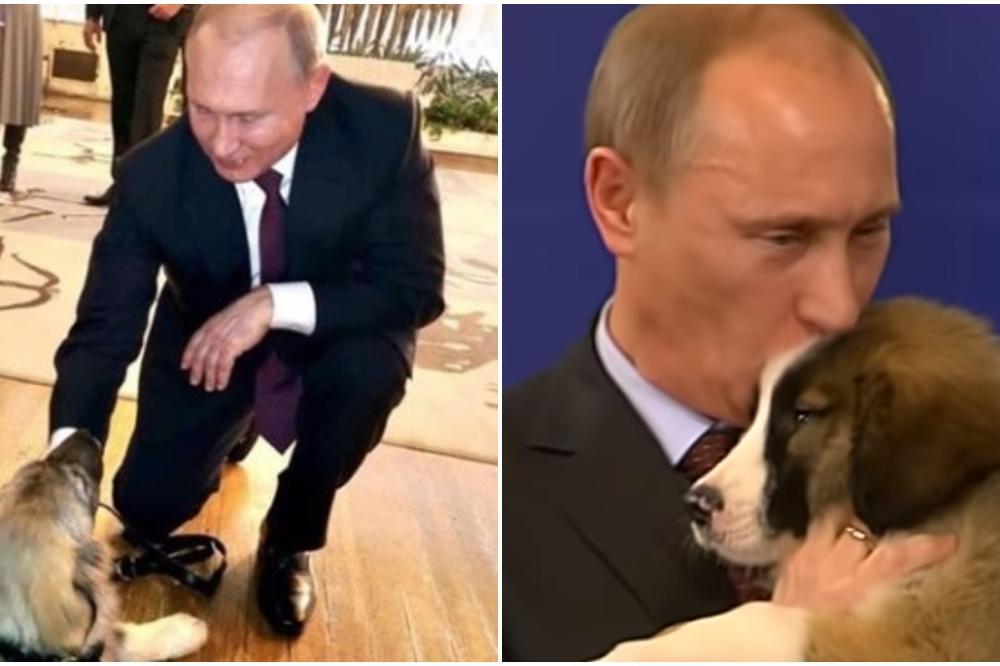 OVO JE NAJVEĆI KONKURENT SRPSKOM PAŠI: Putinova ljubimica BAFI je poklon BUGARSKOG PREMIJERA!