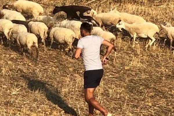 LJUDI IZ GRADA TO NE RAZUMEMEJU: Legenda srpske košarke čuva ovce i uživa u seoskom životu!