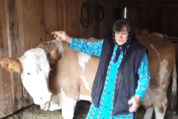 Dve krave nisam spasila, nemam više šta da izgubim: BAKA MILICA TUŽNO ŽIVI, DOBILA 1 CREP DA NALOŽI DIMNJAK (VIDEO)