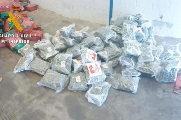 CRNOGORSKA POLICIJA PRESEKLA LANAC KRIJUMČARENJA NARKOTIKA: Na Skadarskom jezeru zaplenjeno 222 kg droge!