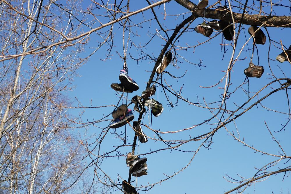 U SRPSKOM GRADU SVI ZANEMELI KAD SU VIDELI OVAJ PRIZOR: Desetine patika okačene na drvo (FOTO)