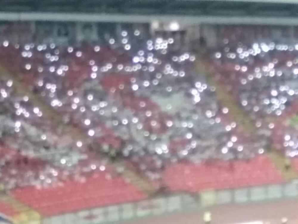 Stadion Rajko Mitić, Navijači Crvene zvezde, Mali navijači Crvene zvezde