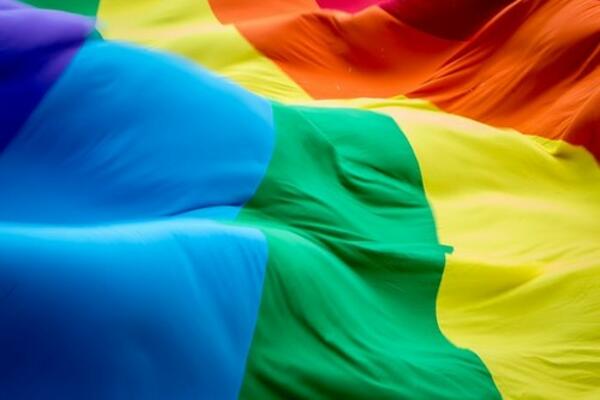 MAĐARSKA UGROZILA PRAVA LGBT ZAJEDNICE: Preti im tužba?