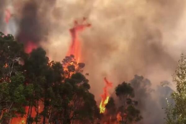 BESNE POŽARI U AUSTRALIJI! Četiri kuće izgorele u VATRENOJ STIHIJI, ima POVREĐENIH (VIDEO)