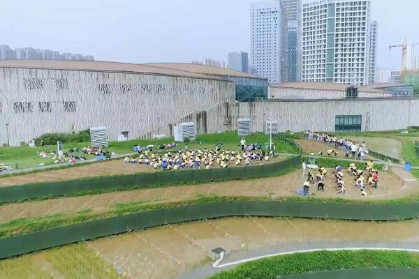 VEOMA VAŽNA NAMIRNICA U KINI Muzej pirinča u provinciji Hunan (VIDEO)