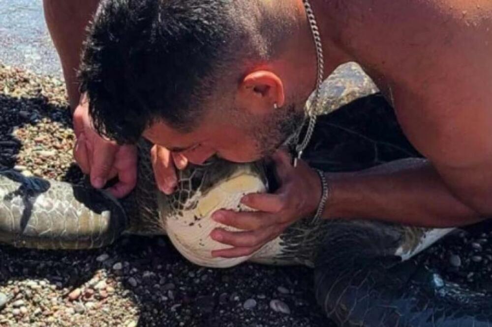 HEROJ SA RODOSA: Spasao kornjaču od sigurne smrti, satima je reanimirao dajući joj veštačko disanje! (VIDEO)