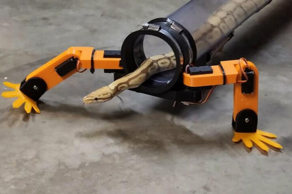 MOŽE LI BIZARNIJE? Robot pomaže ZMIJAMA da hodaju, mladi inženjer rešio da ispravi "EVOLUCIJSKU NEPRAVDU"! (VIDEO)