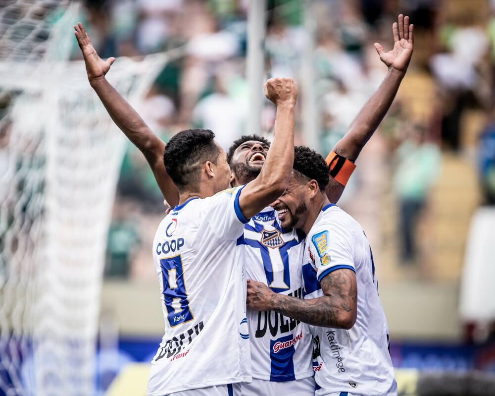 Bruno Mezenga slavi gol protiv Palmeirasa