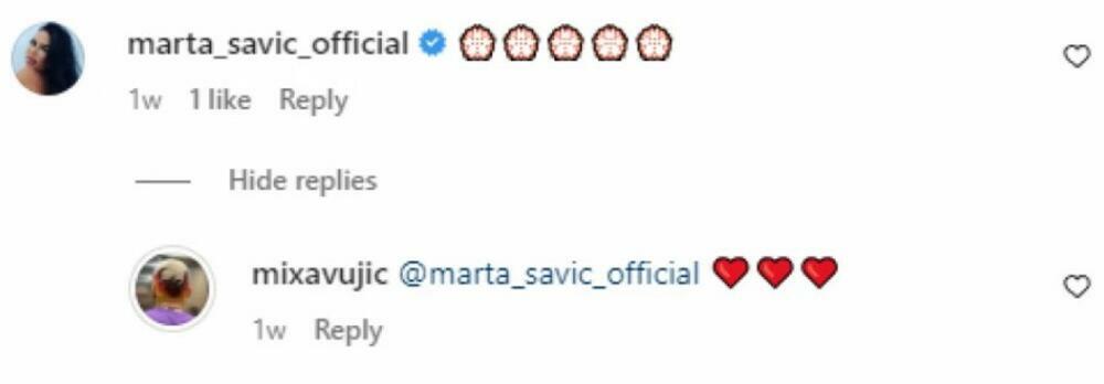 Komentar Marte Savić