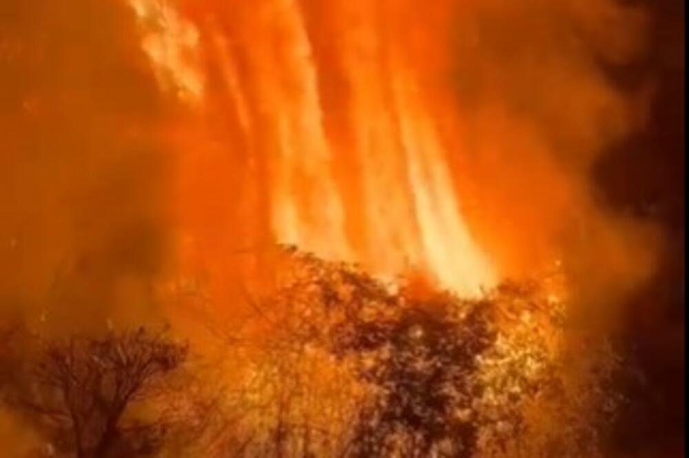BROJ ŽRTAVA RASTE IZ SATA U SAT Šumski požari u Čileu ne jenjavaju!