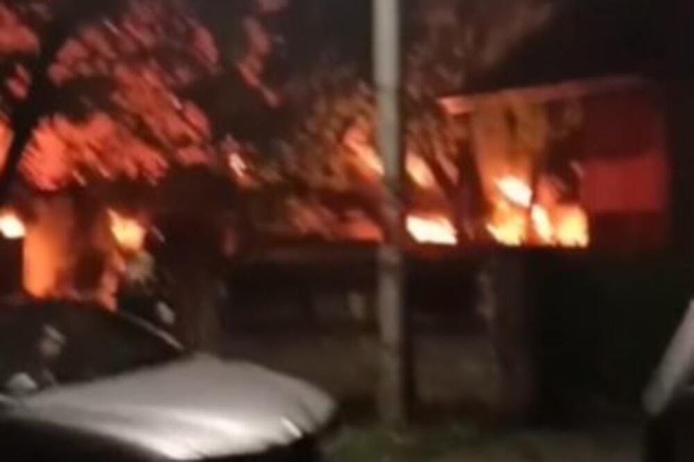 STRAŠAN POŽAR NA DETELINARI U NOVOM SADU: Vatra zahvatila objekat, vatrogasci se bore sa stihijom (VIDEO)