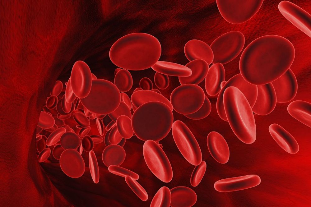 Oni su posebni: Samo 15% ljudi ima ovu krvnu grupu! Da li ste među njima?