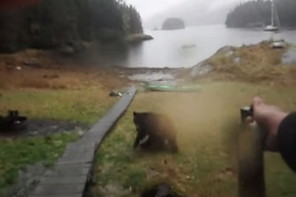 Samo za najhrabrije: Oči u oči sa medvedom! (VIDEO)
