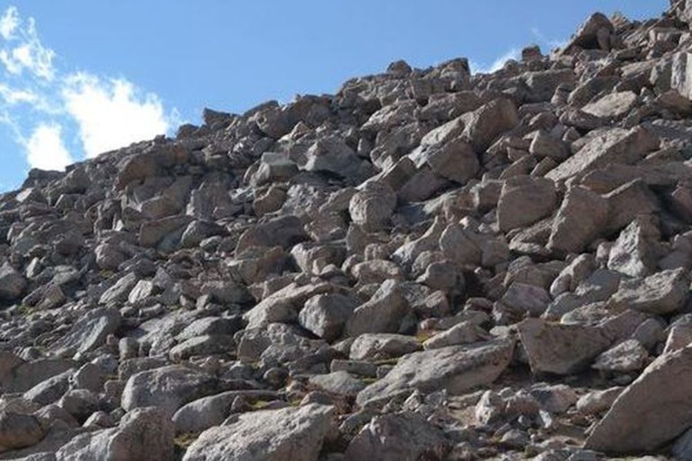 Da li je vidite? Čik pronađite ovcu koja se krije u kamenjaru! (FOTO)