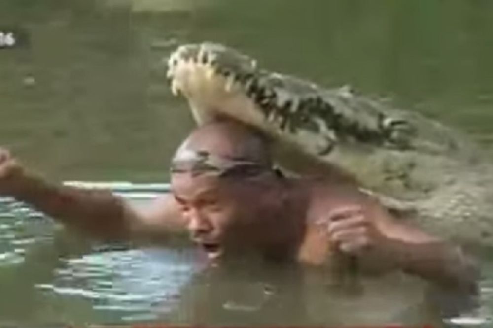 Mislili ste da je nemoguće? Čovek i krokodil najbolji prijatelji! (VIDEO)