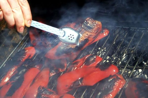 I ovo je moguće u Srbiji: Iznajmite plotnu za pečenje paprike za 30 dinara! (FOTO)