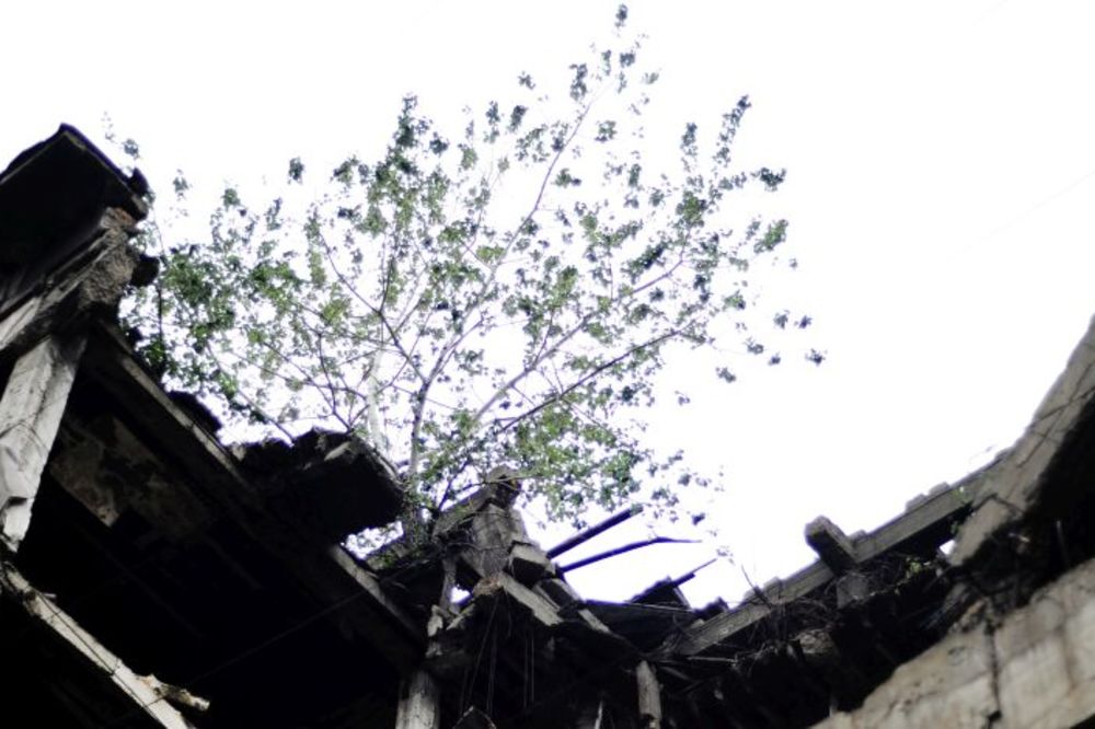 Razorili ste zgrade, ali niste ubili život! Drveće raste iz ruševina pogođenih u NATO agresiji! (FOTO) (VIDEO)