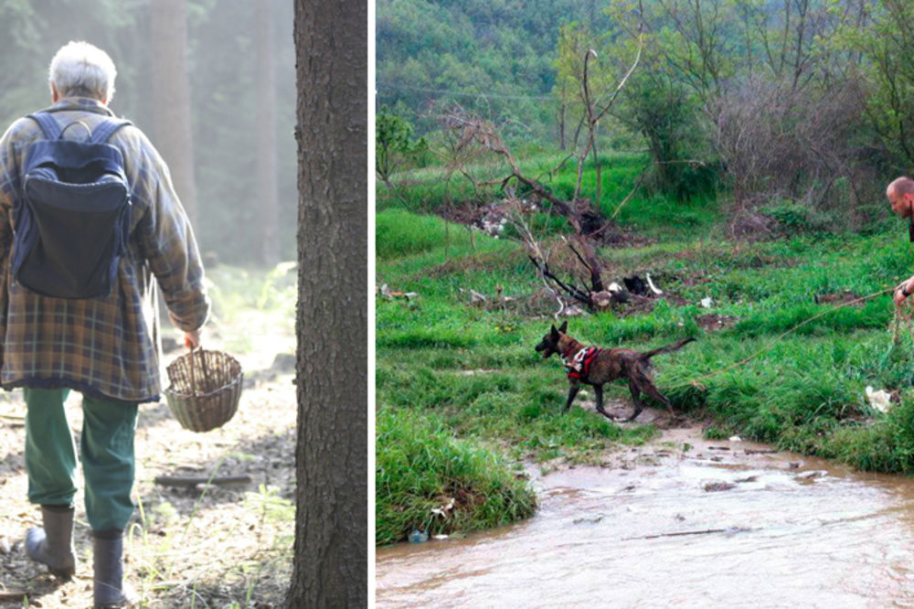 Starac je pet dana lutao šumom bez hrane, vode i zaklona. Kad su ga našli nije mu bilo ništa!