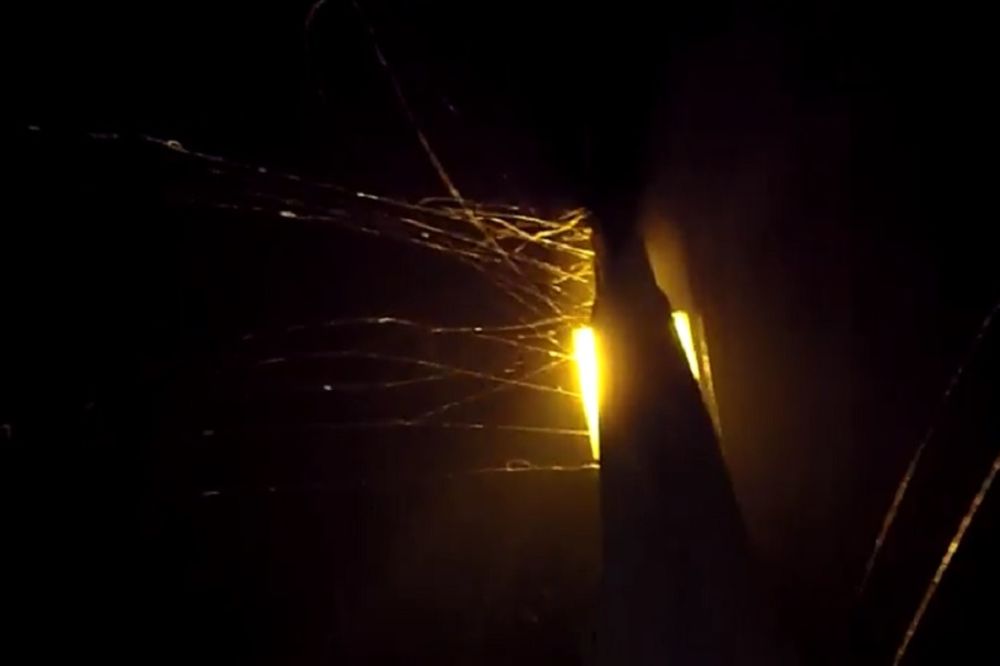 Kao u horor filmovima: Misteriozna paučina na Novom Beogradu! (FOTO) (VIDEO)