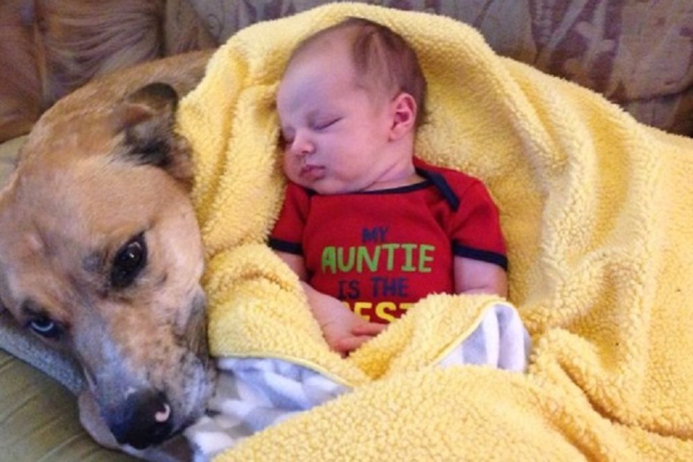 Rastopićete se: 17 najlepših fotografija pasa sa bebama (FOTO)
