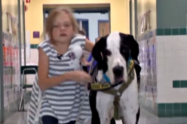 Devojčica s retkim sindromom pobedila bolest zahvaljujući psu! (VIDEO)