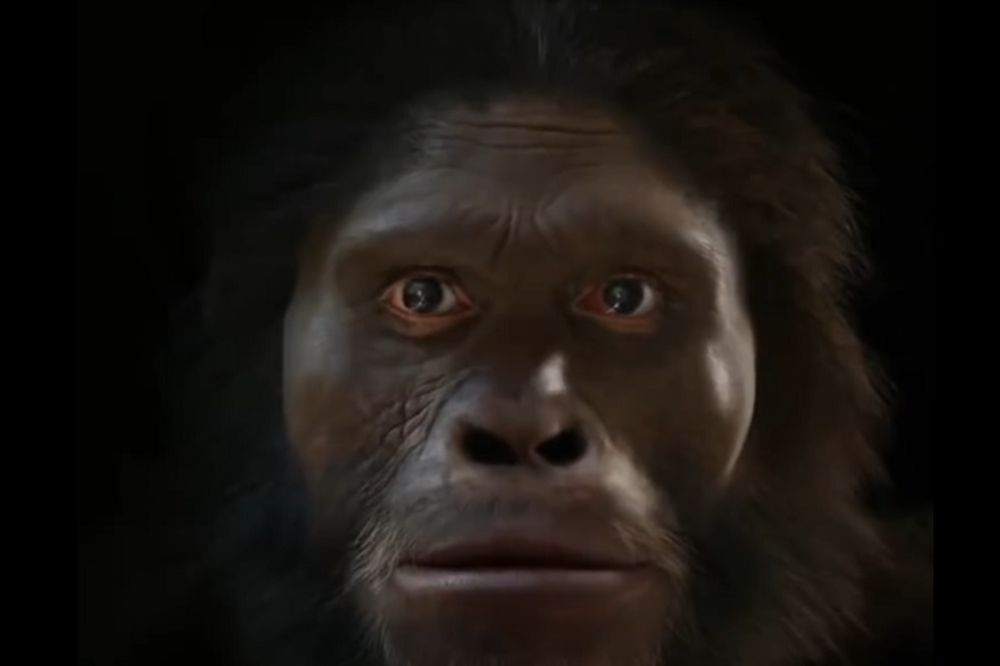 Kako smo od majmuna stigli do lica koje poznajemo danas? (VIDEO)