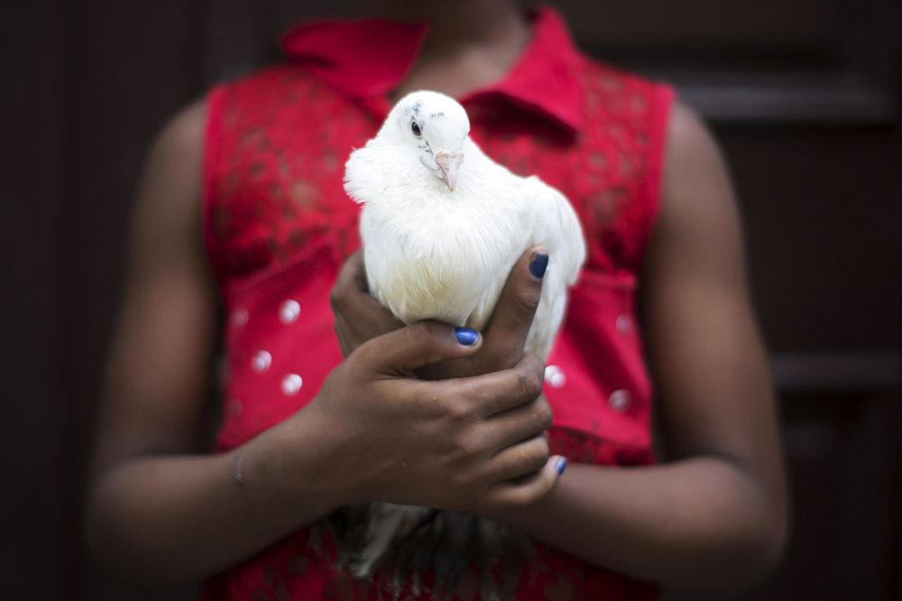 Struja udarila goluba u Parizu, svi pomislili da je teroristički napad! (FOTO)